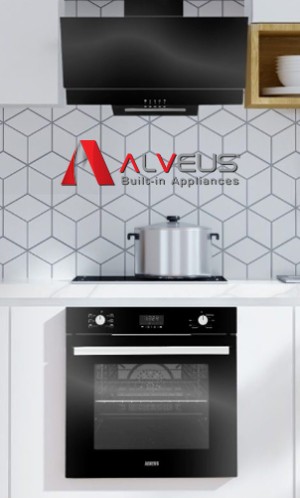 ALVEUS